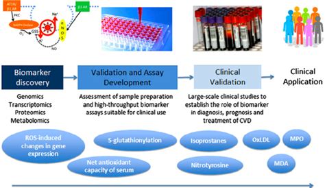 validation of biomarkers